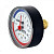 Термоманометр F+R 818/6 (Ø80мм, 1/2", 6бар, 120°С) аксиальный, WATTS 10018742