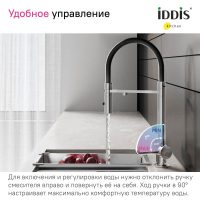 Смеситель для кухни с фильтром и гибким изливом, хром, Асе, IDDIS, ACESBFFi05