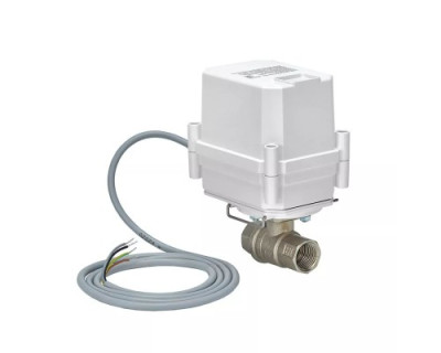 Кран 40 Ру4,0 МПа вр/вр латунь, ШЭП PROFESSIONAL 220V G-LOCK 1 1/2" BS